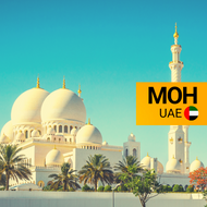 Dataflow Service Fee